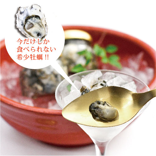 かなわオイスター ヴァージンオイスター
