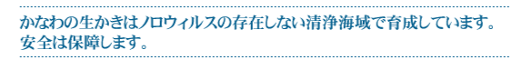 かなわの生かきはノロウィルスの存在しない清浄海域で育成しています