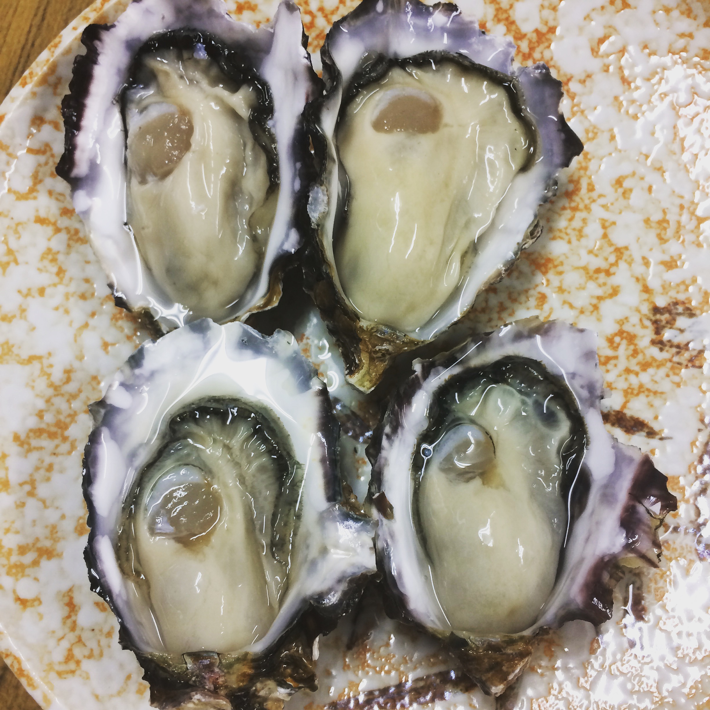 広島牡蠣 生食用生牡蠣 かなわ水産