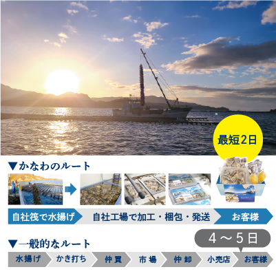 海からダイレクトでお届けする過程の画像