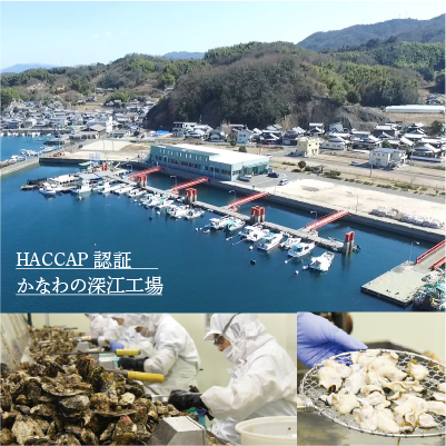 工場の外観画像