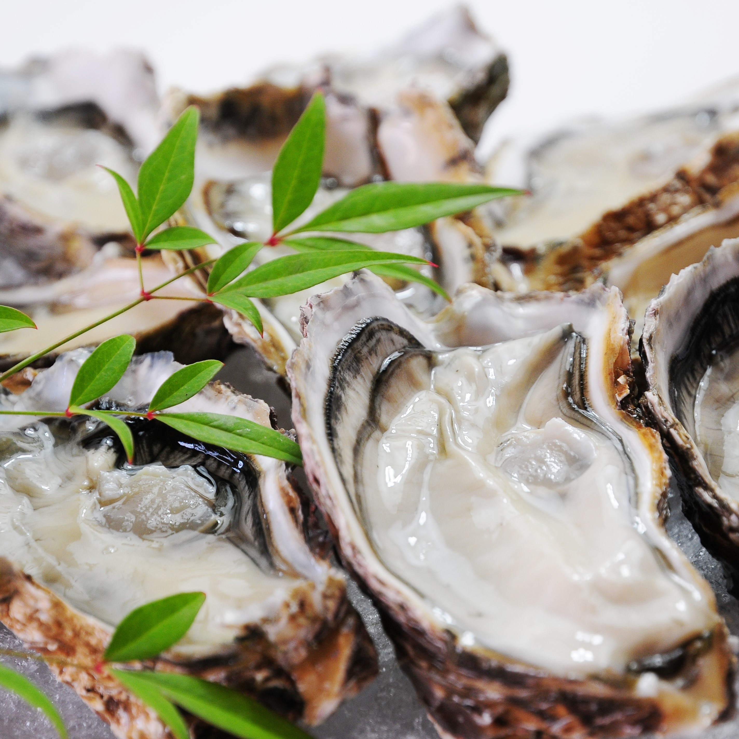 かき小町ハーフシェルの画像