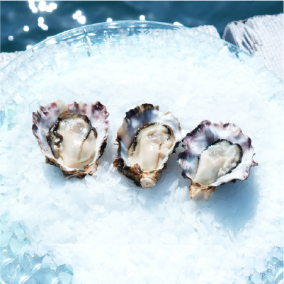 岩かきヌーヴォハーフシェルオイスターの画像