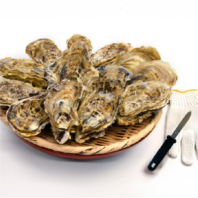 殻付かき宮島の画像