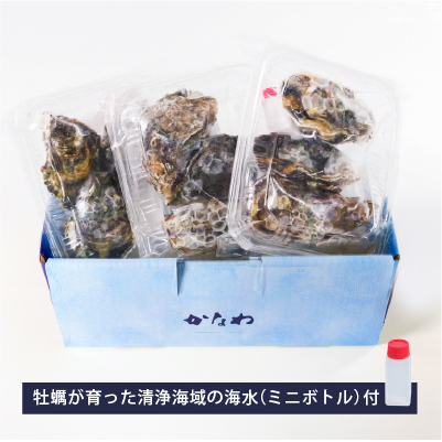 梱包方法の説明1