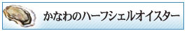 ハーフシェルオイスターページへ移動する