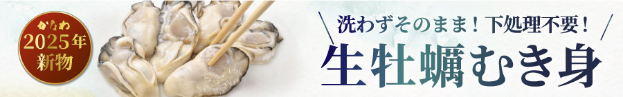 かなわのむき身牡蠣発送開始