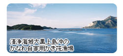 清浄海域大黒上島沖のかなわ自家用かき筏漁場画像