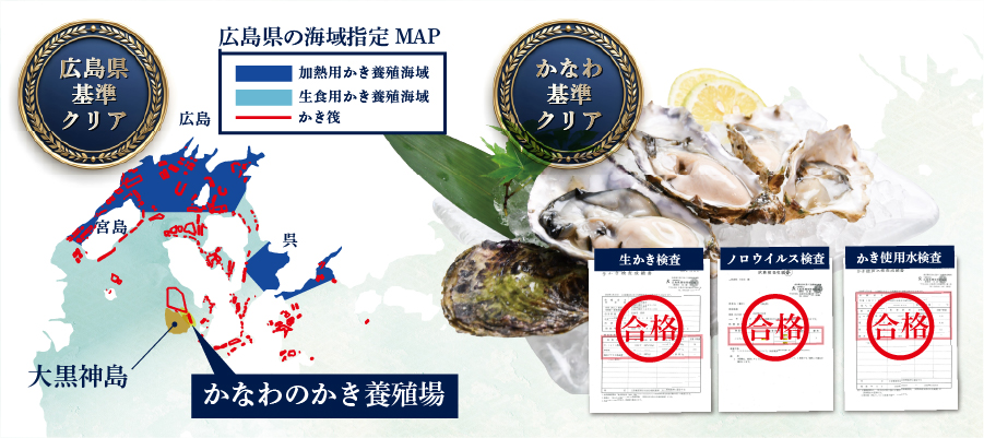 各検査クリアについての説明