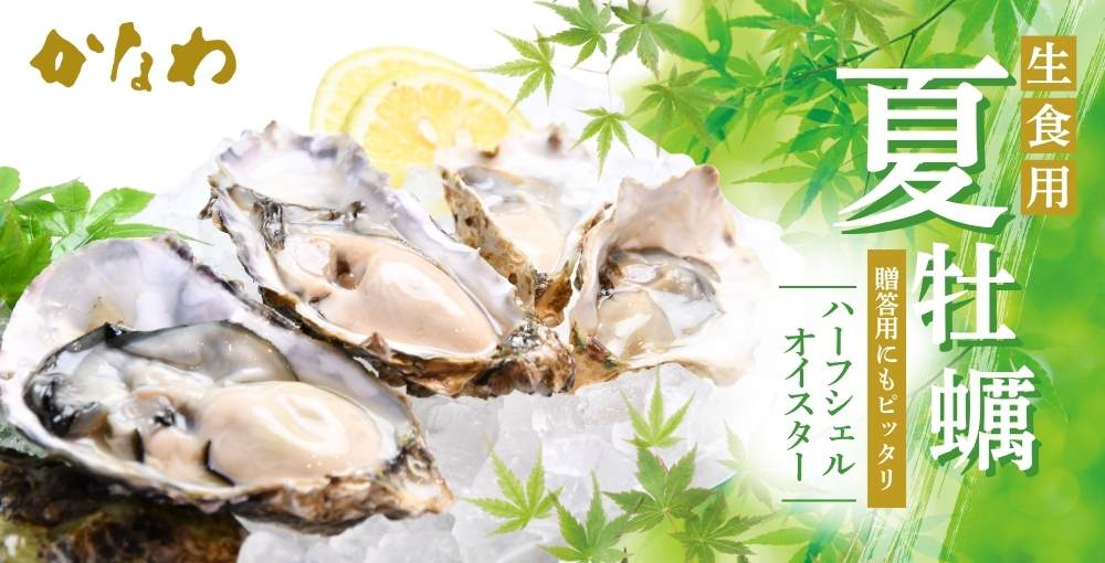 生食用夏のハーフシェルオイスター