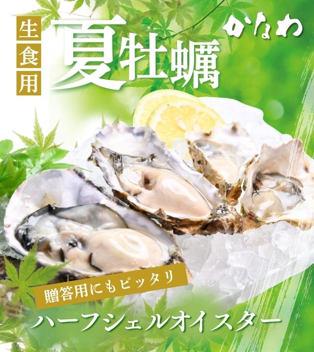 生食用夏のハーフシェルオイスター